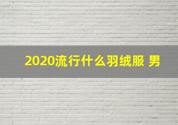 2020流行什么羽绒服 男